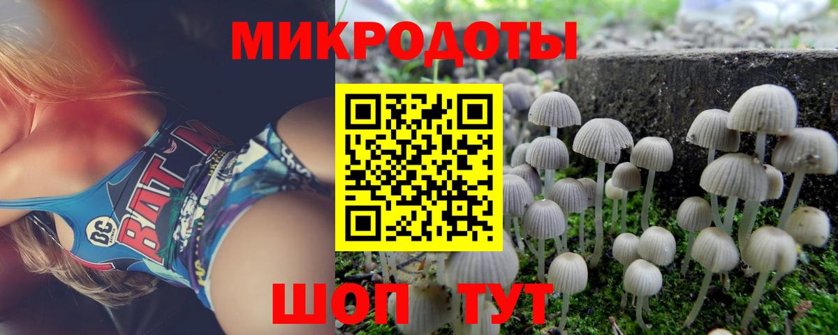 Ялуторовск  Псилоцибиновые грибы MAGIC MUSHROOMS  Вход с VPN 
